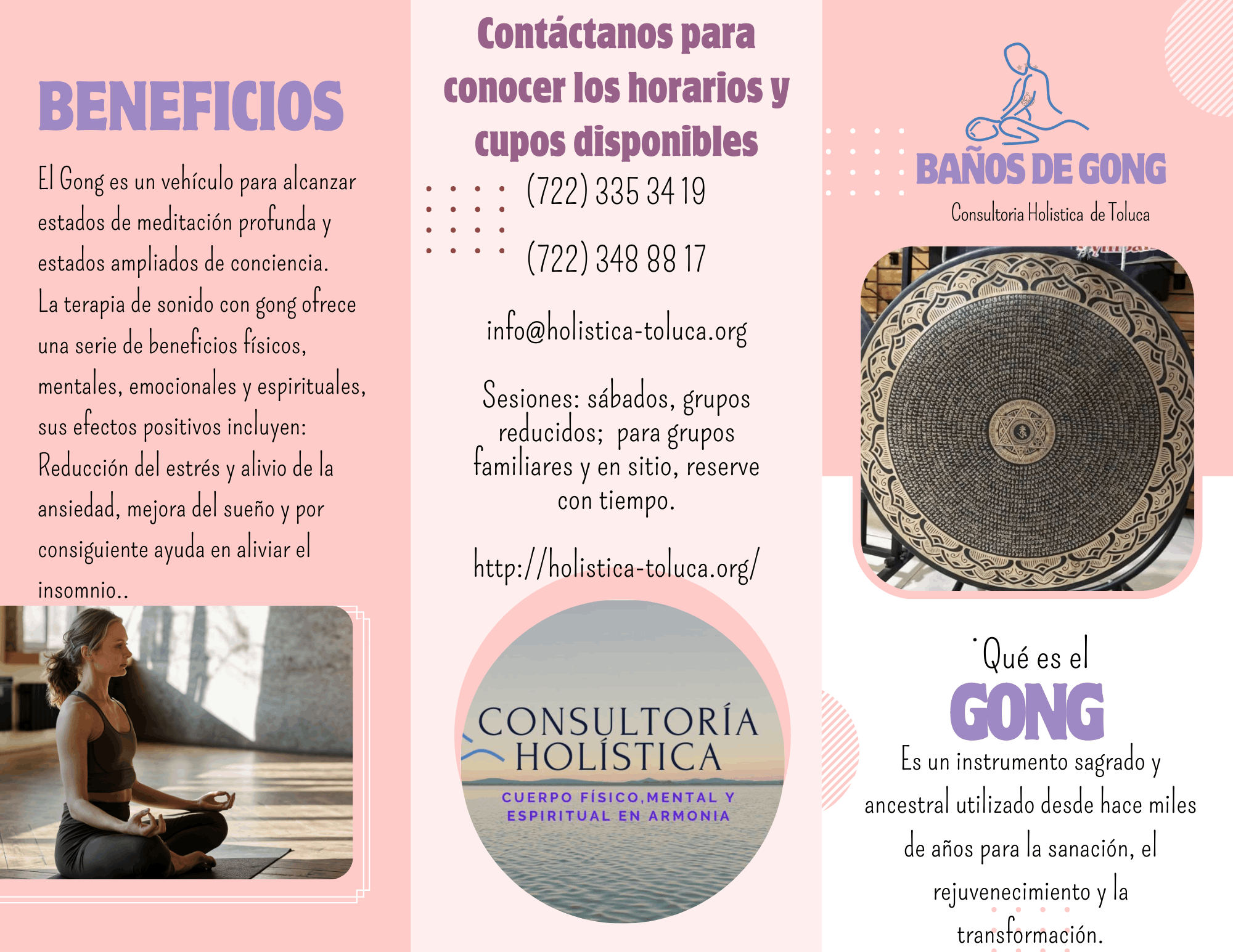 Holistica-Toluca.org